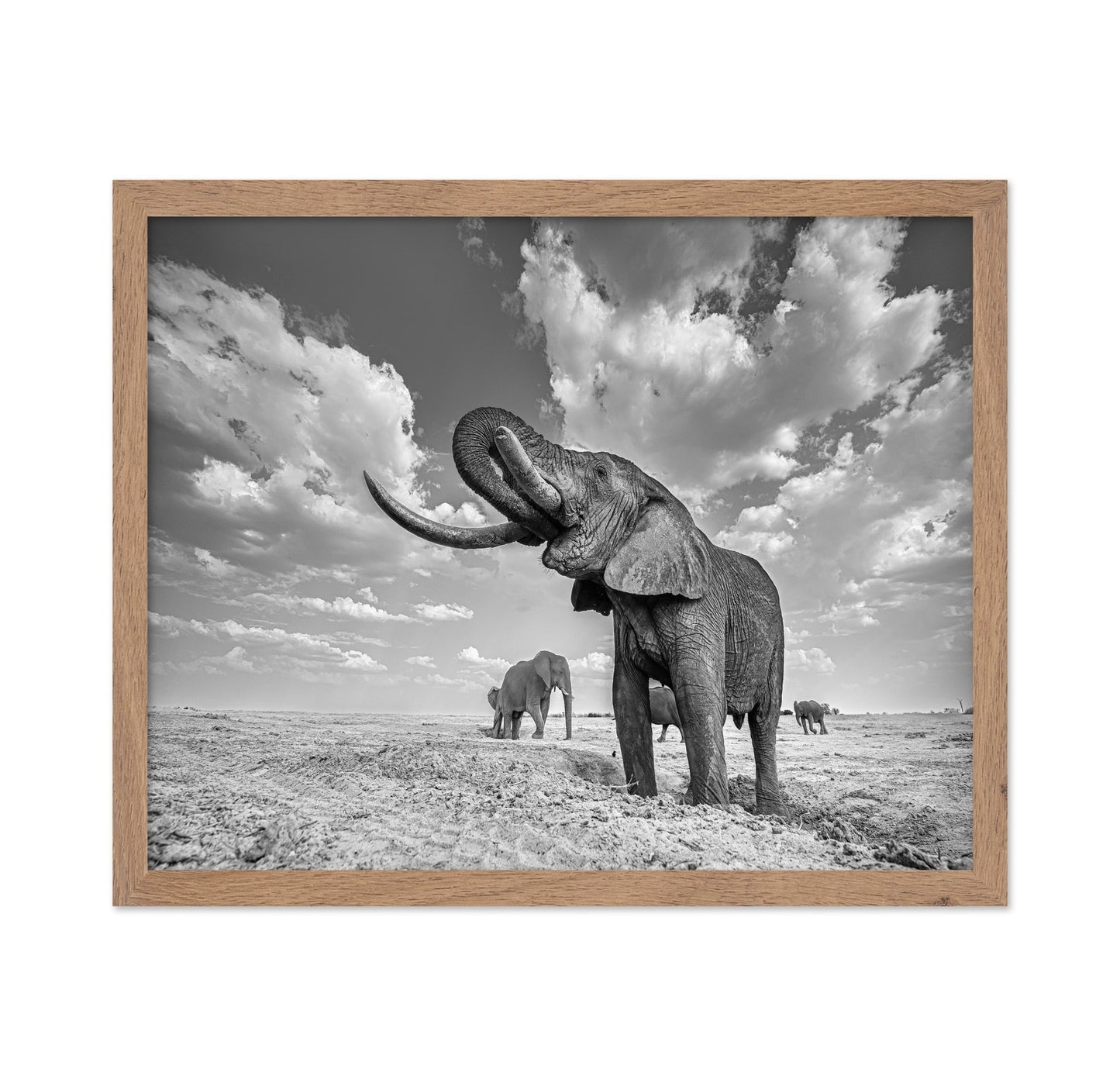 Majestic Elephant Portrait