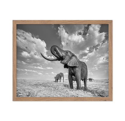 Majestic Elephant Portrait