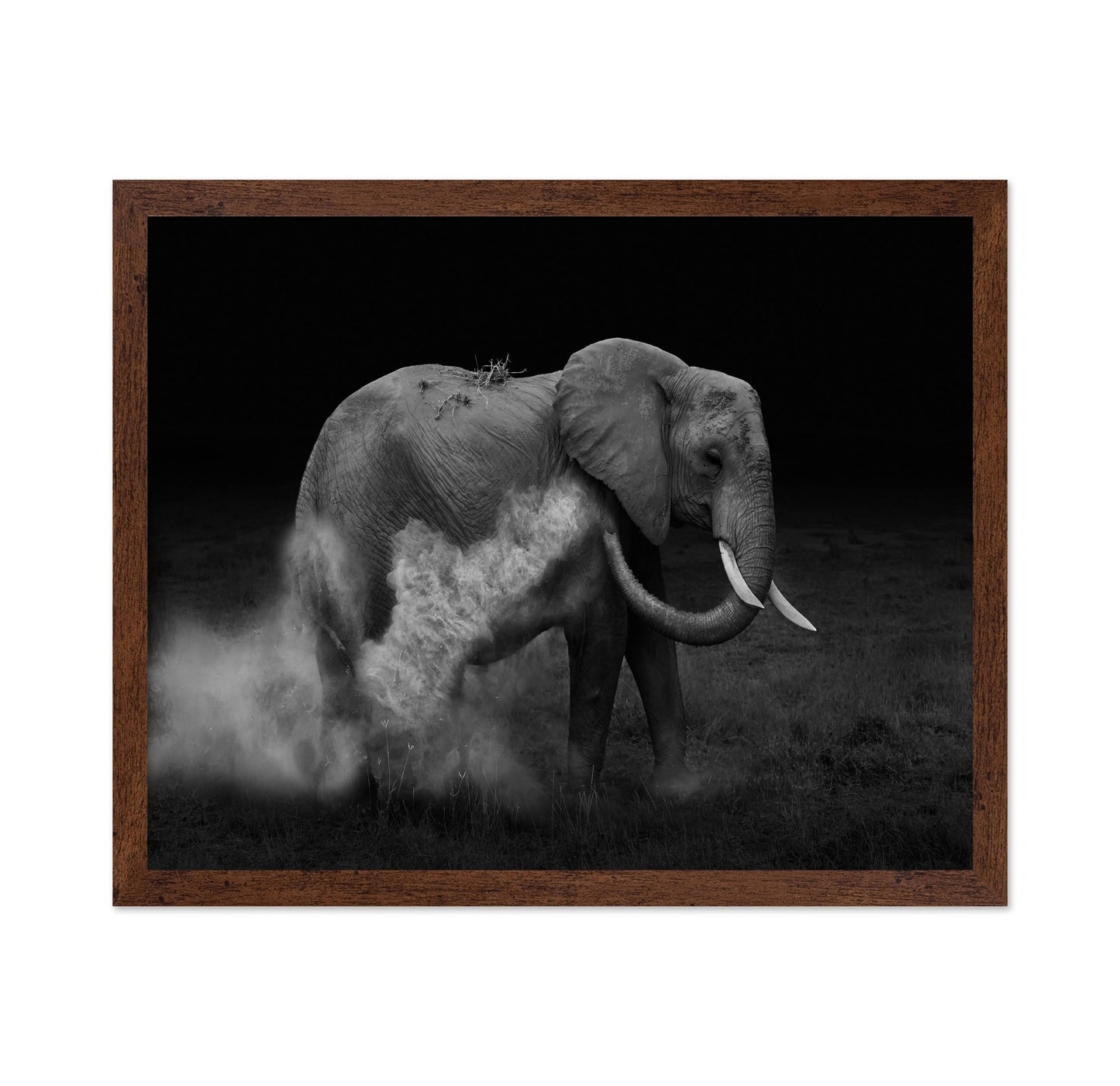 Dust Bath Elephant