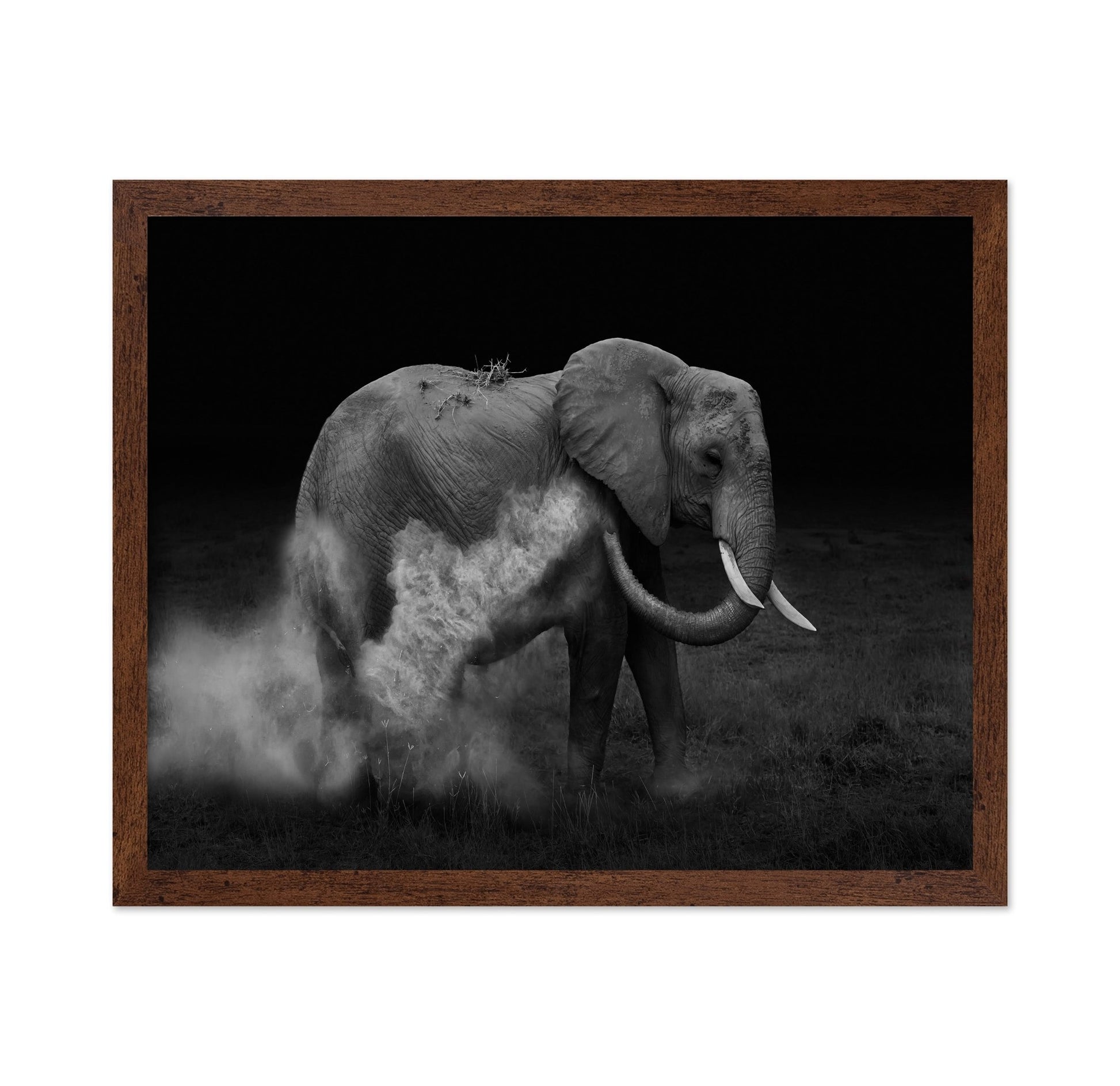 Dust Bath Elephant