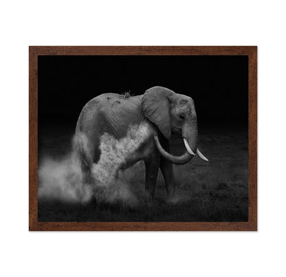 Dust Bath Elephant