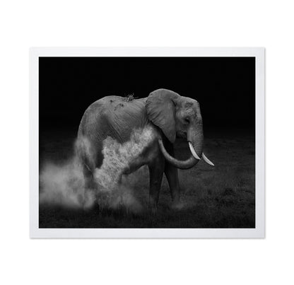 Dust Bath Elephant