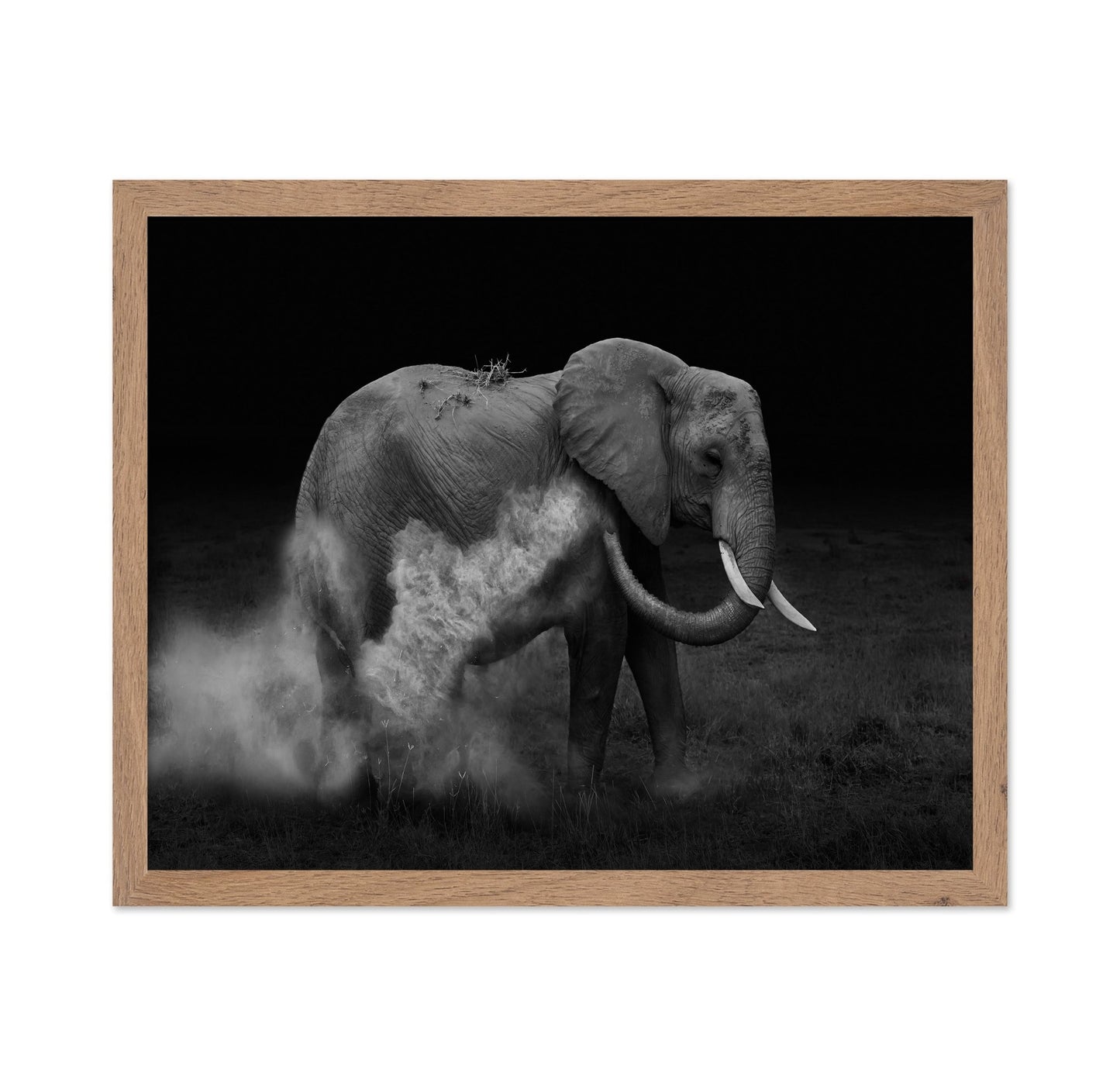 Dust Bath Elephant