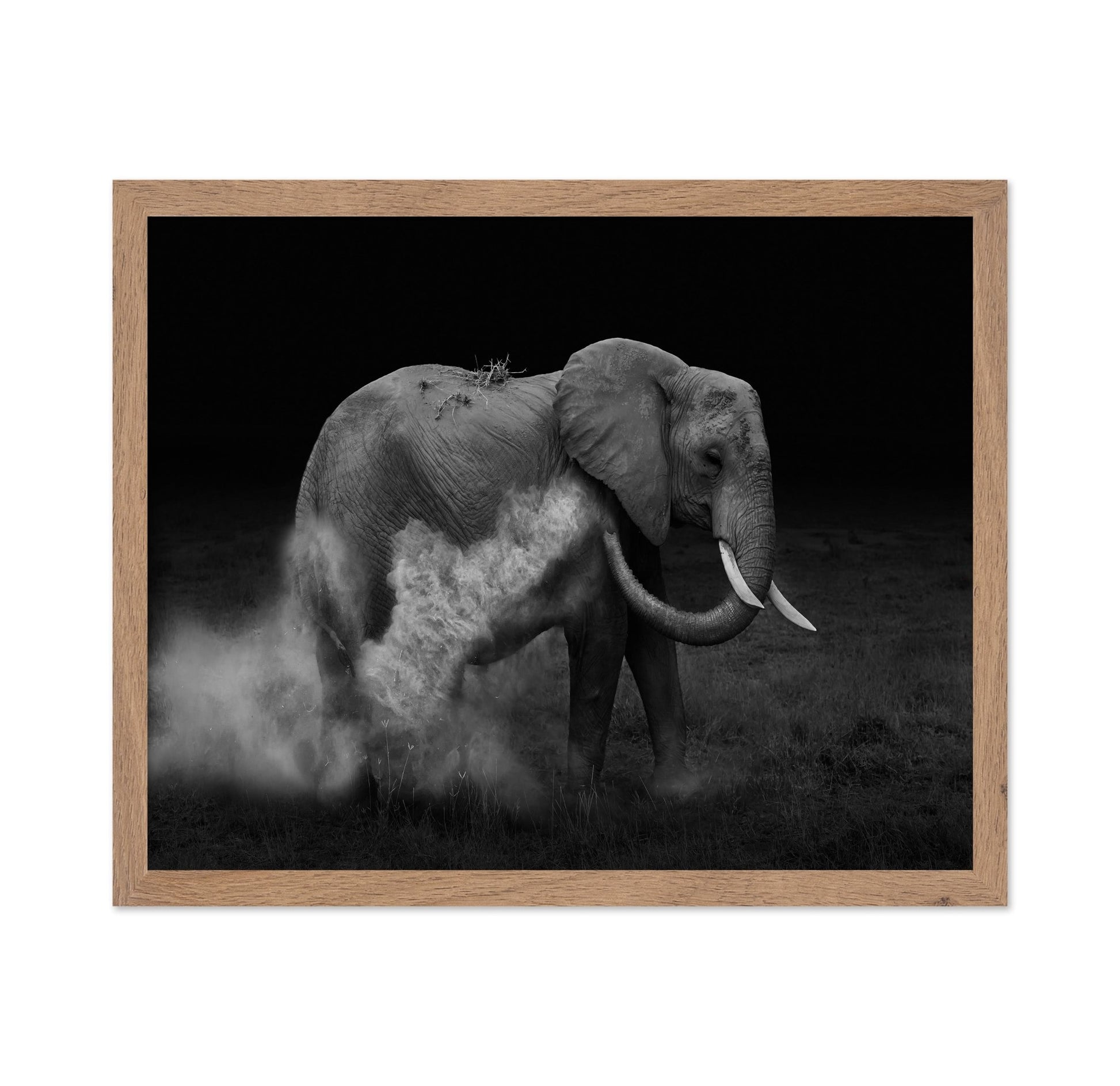 Dust Bath Elephant