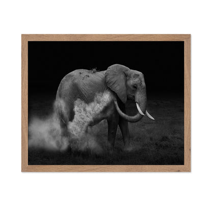 Dust Bath Elephant
