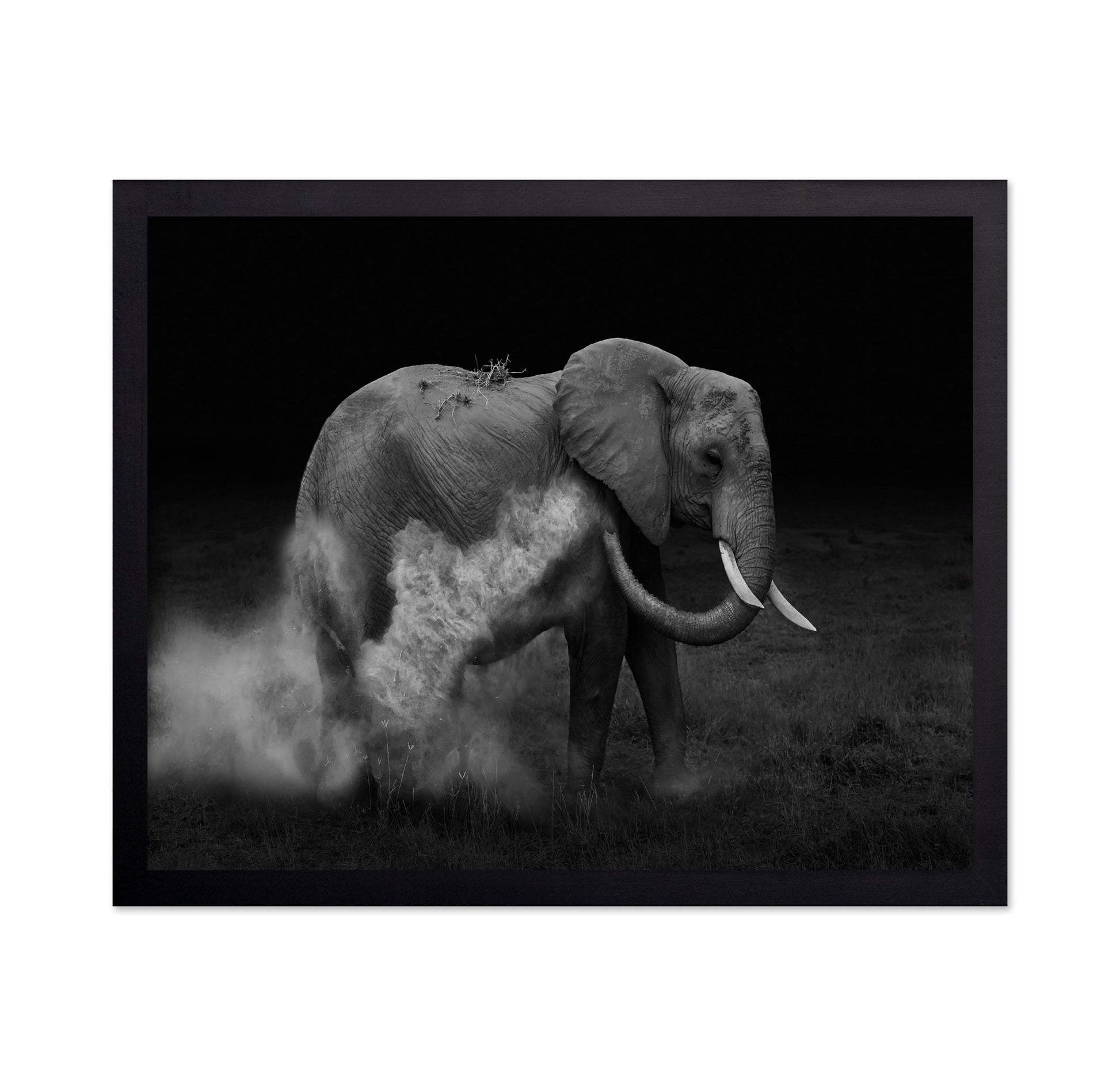 Dust Bath Elephant