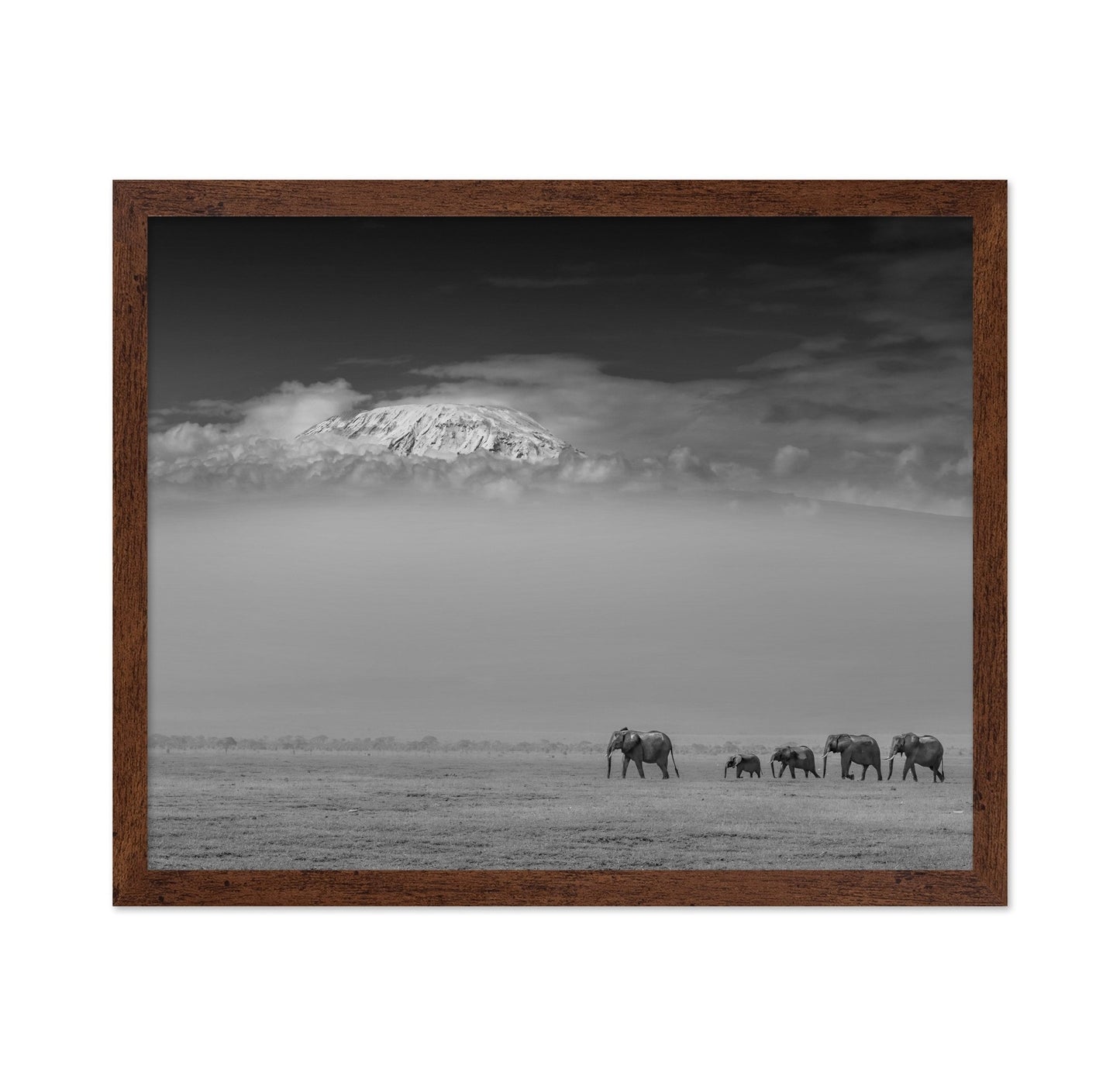 Elephants Under Kilimanjaro