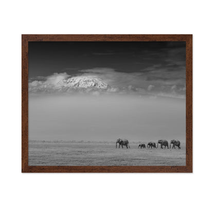 Elephants Under Kilimanjaro