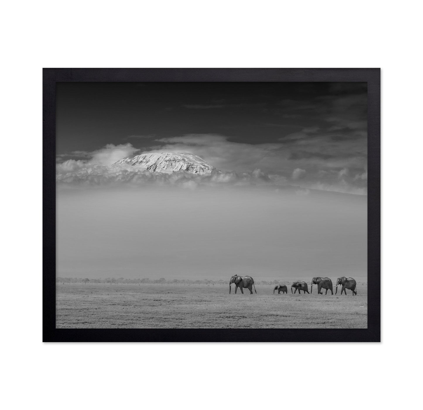Elephants Under Kilimanjaro
