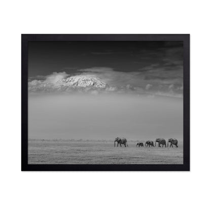 Elephants Under Kilimanjaro