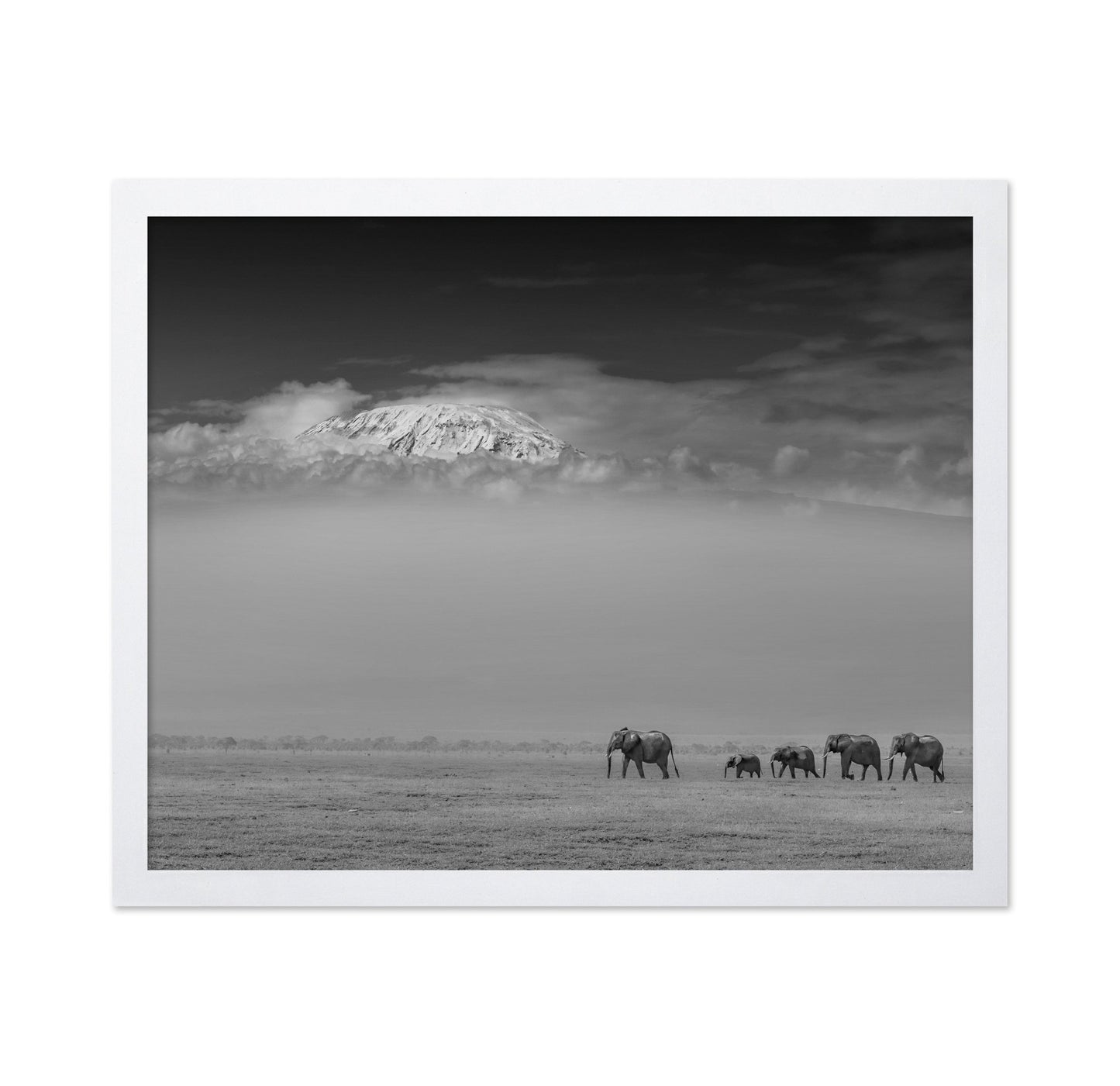Elephants Under Kilimanjaro