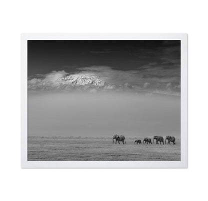 Elephants Under Kilimanjaro