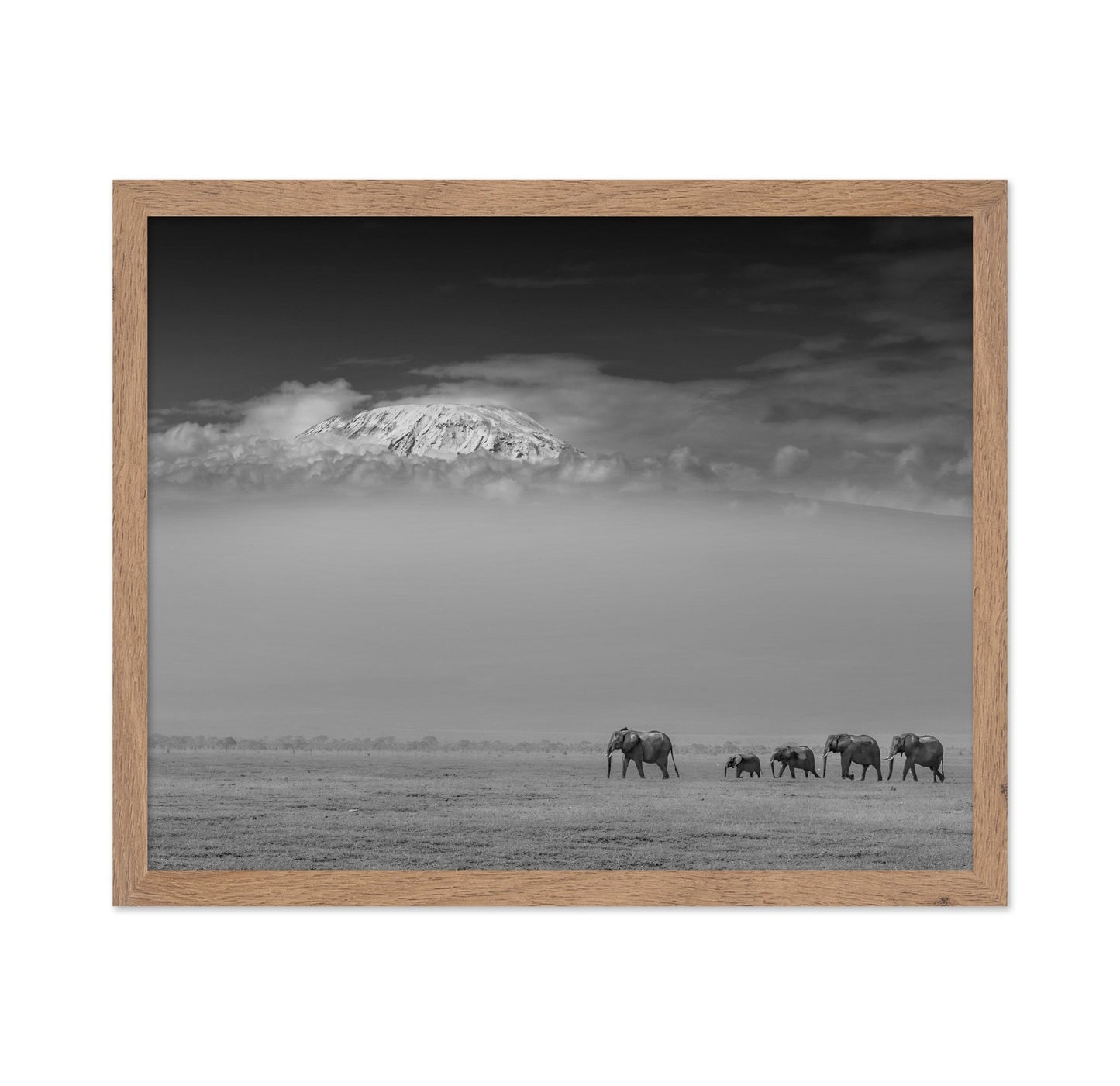 Elephants Under Kilimanjaro