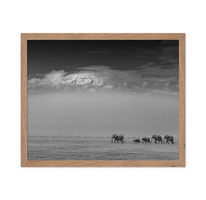 Elephants Under Kilimanjaro