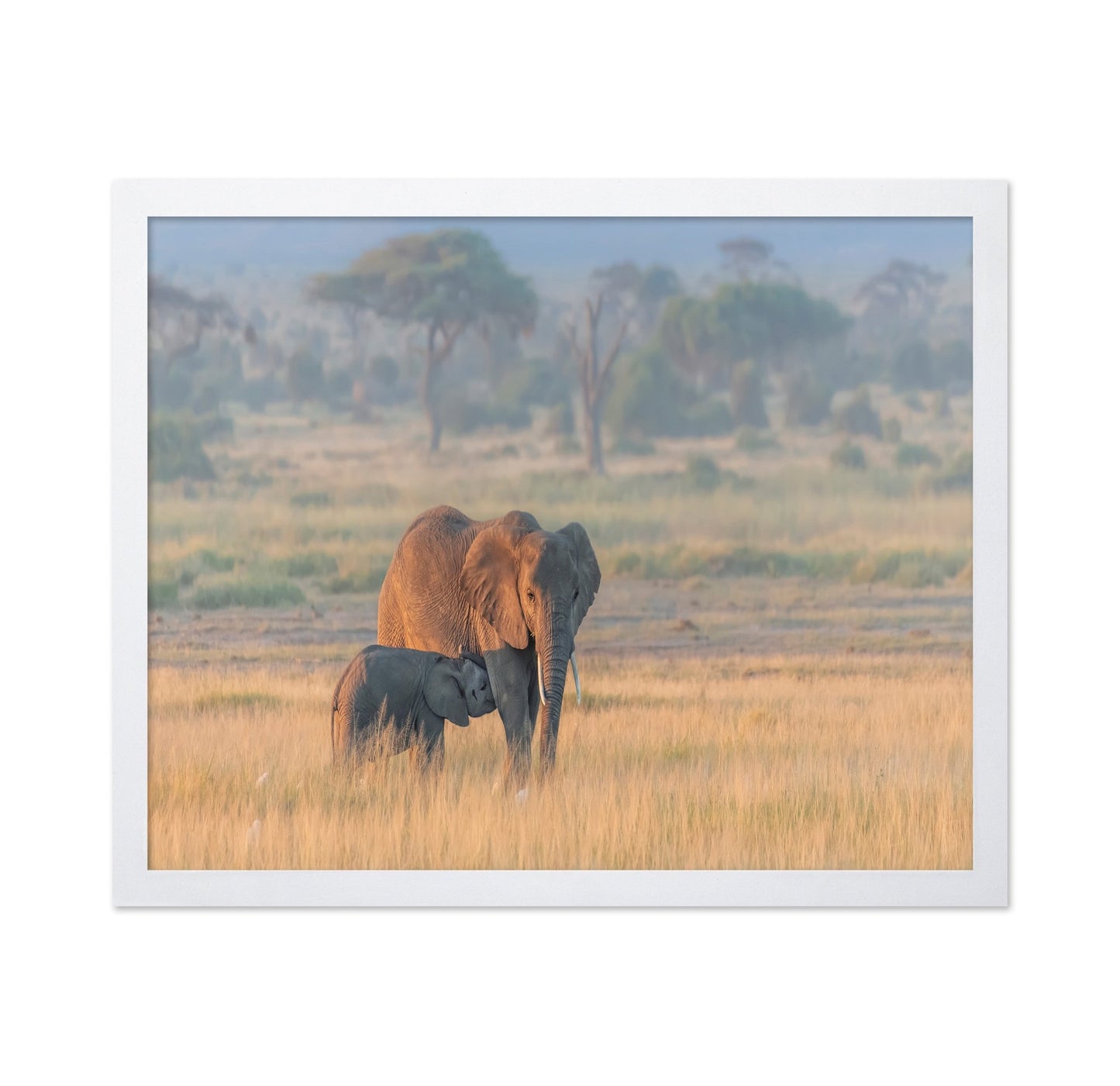 Elephant Mother And Calf