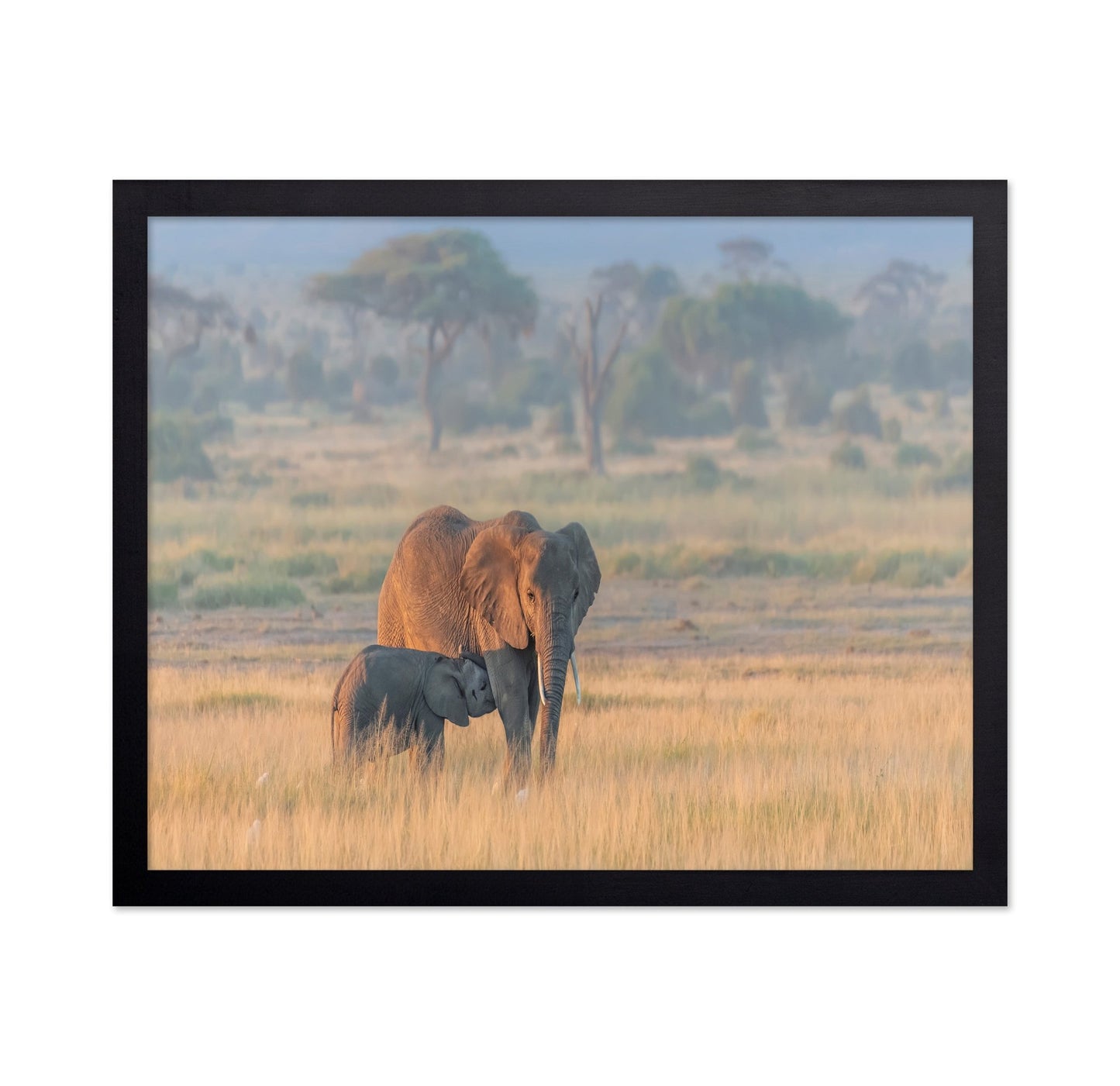 Elephant Mother And Calf