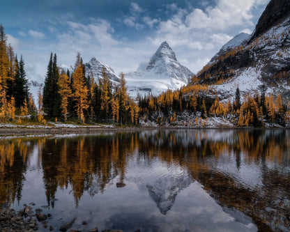 Golden Alpine Reflection