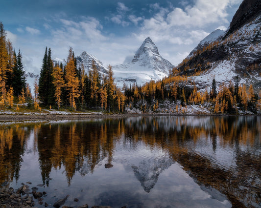 Golden Alpine Reflection