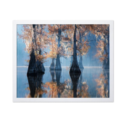 Misty Cypress Reflections