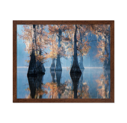Misty Cypress Reflections