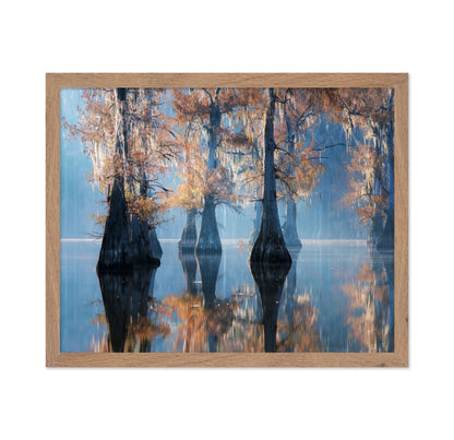 Misty Cypress Reflections