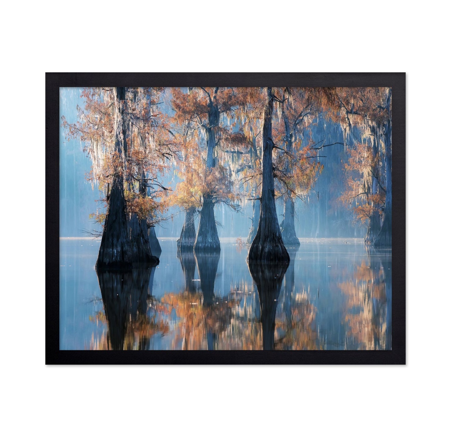 Misty Cypress Reflections