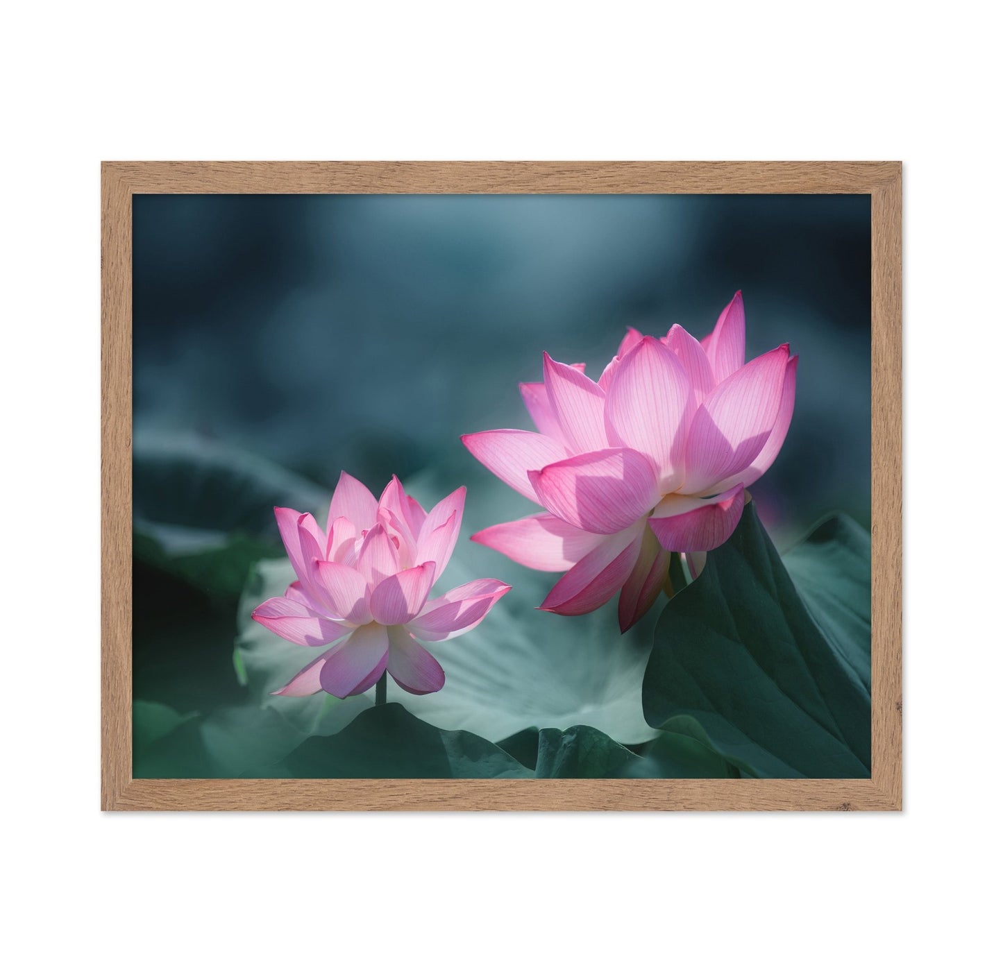 Pink Lotus Duo