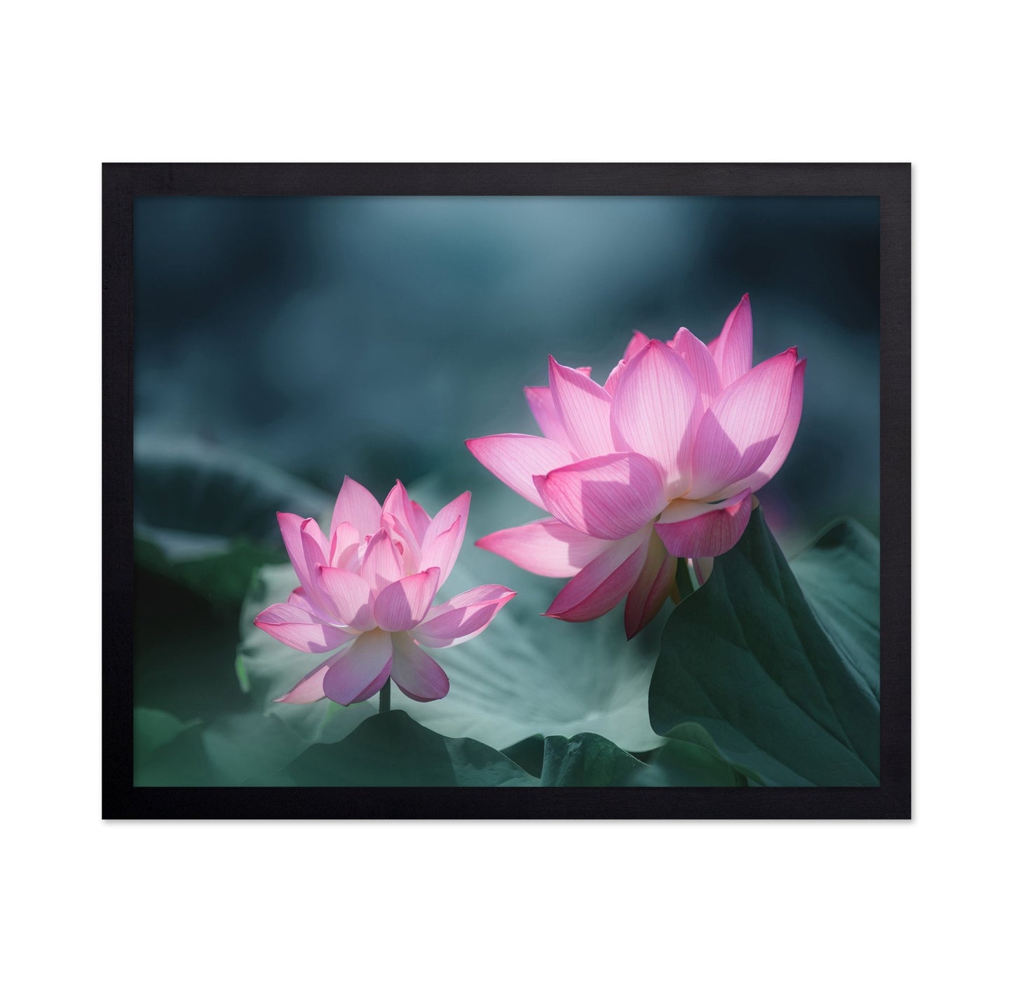 Pink Lotus Duo