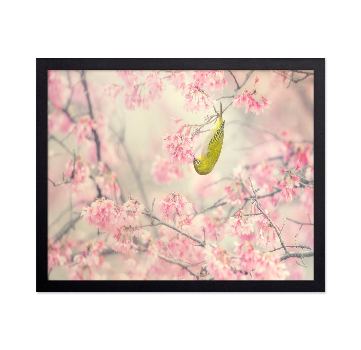 Hanging Blossom Bird