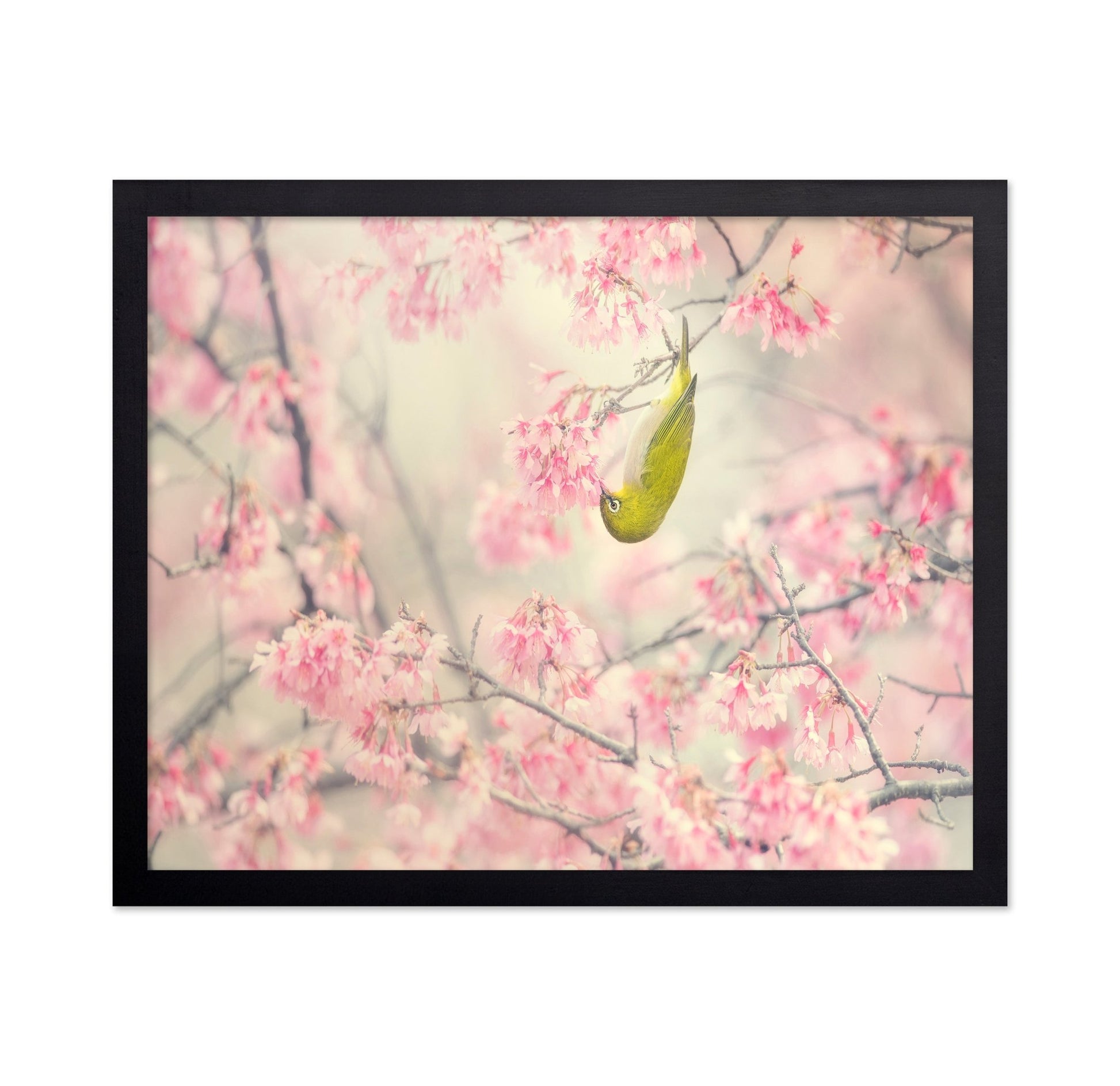 Hanging Blossom Bird
