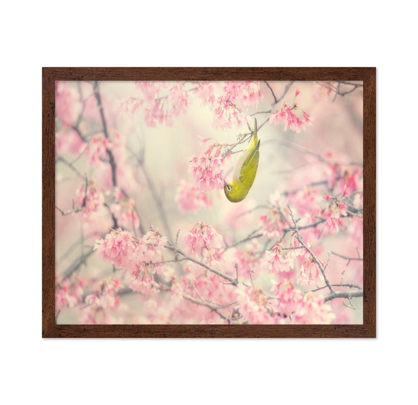 Hanging Blossom Bird