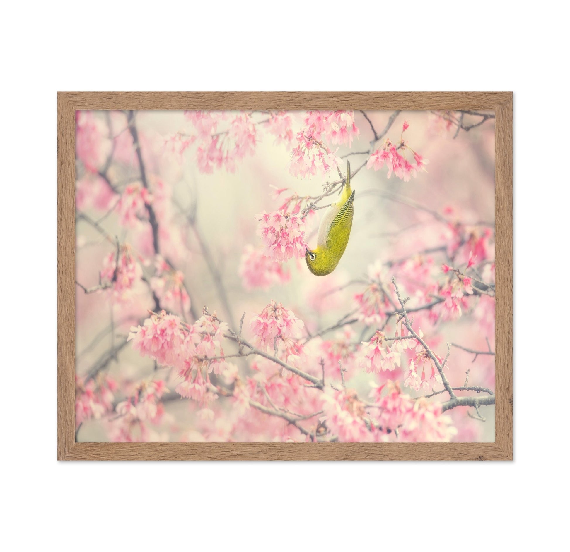 Hanging Blossom Bird