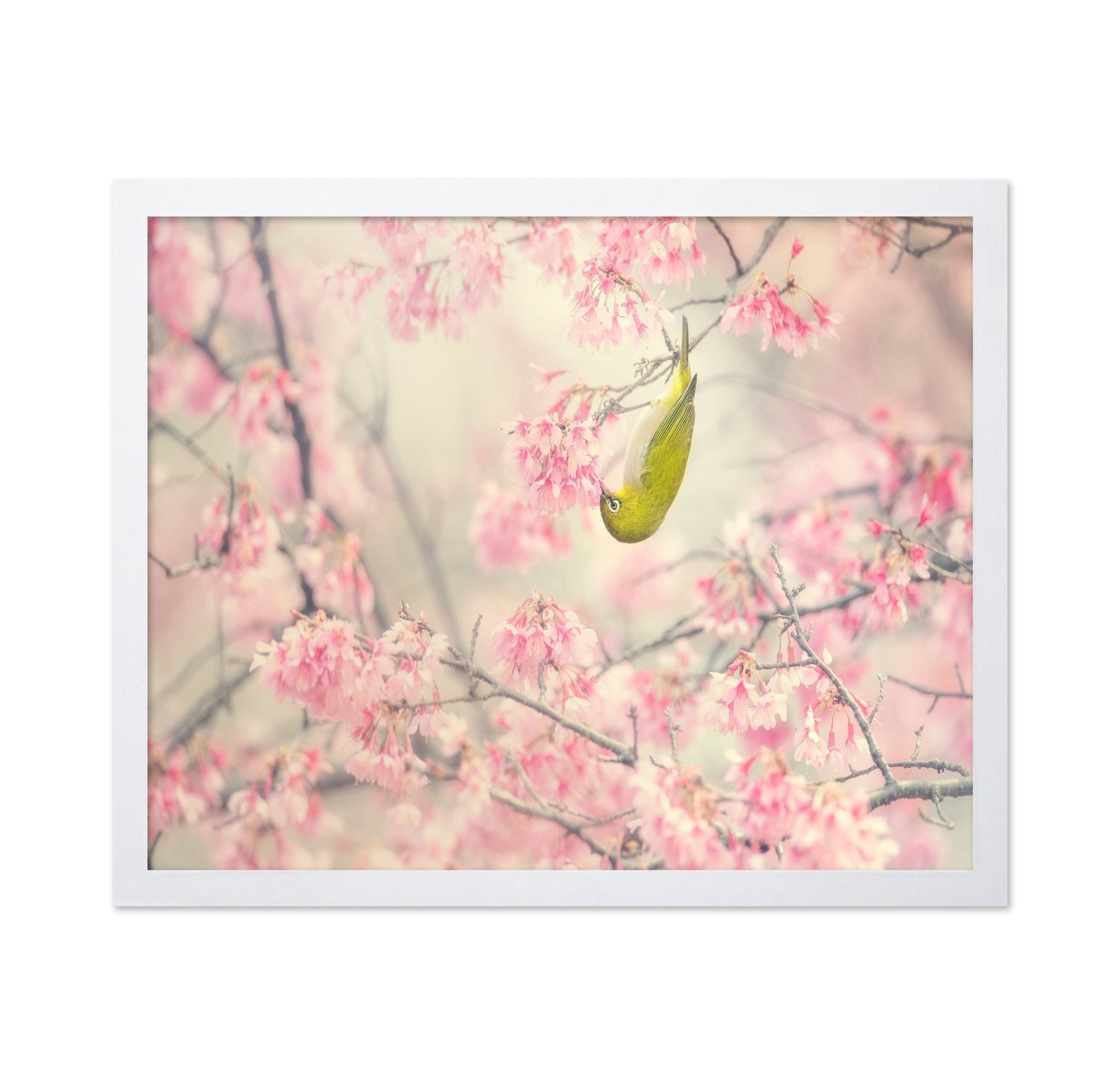 Hanging Blossom Bird