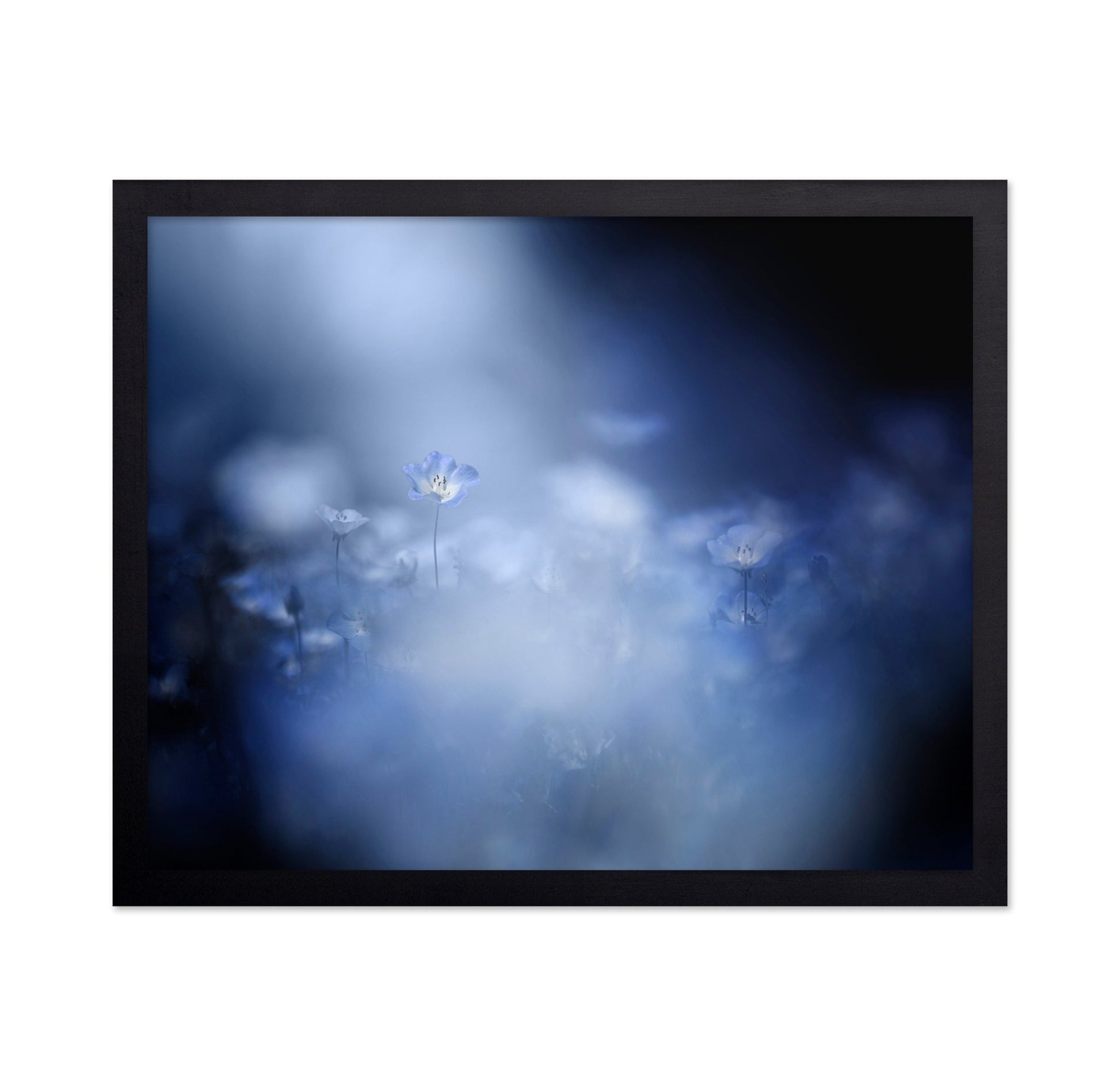 Blue Flower Dream