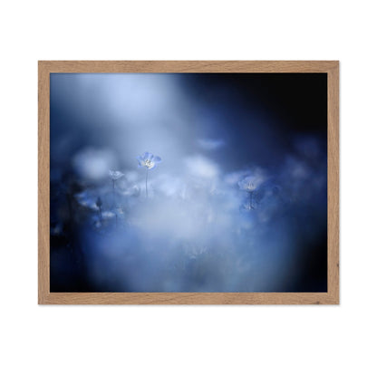 Blue Flower Dream