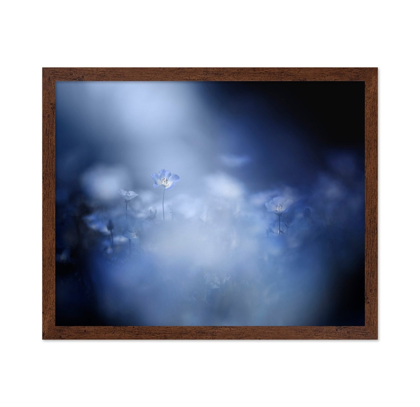 Blue Flower Dream