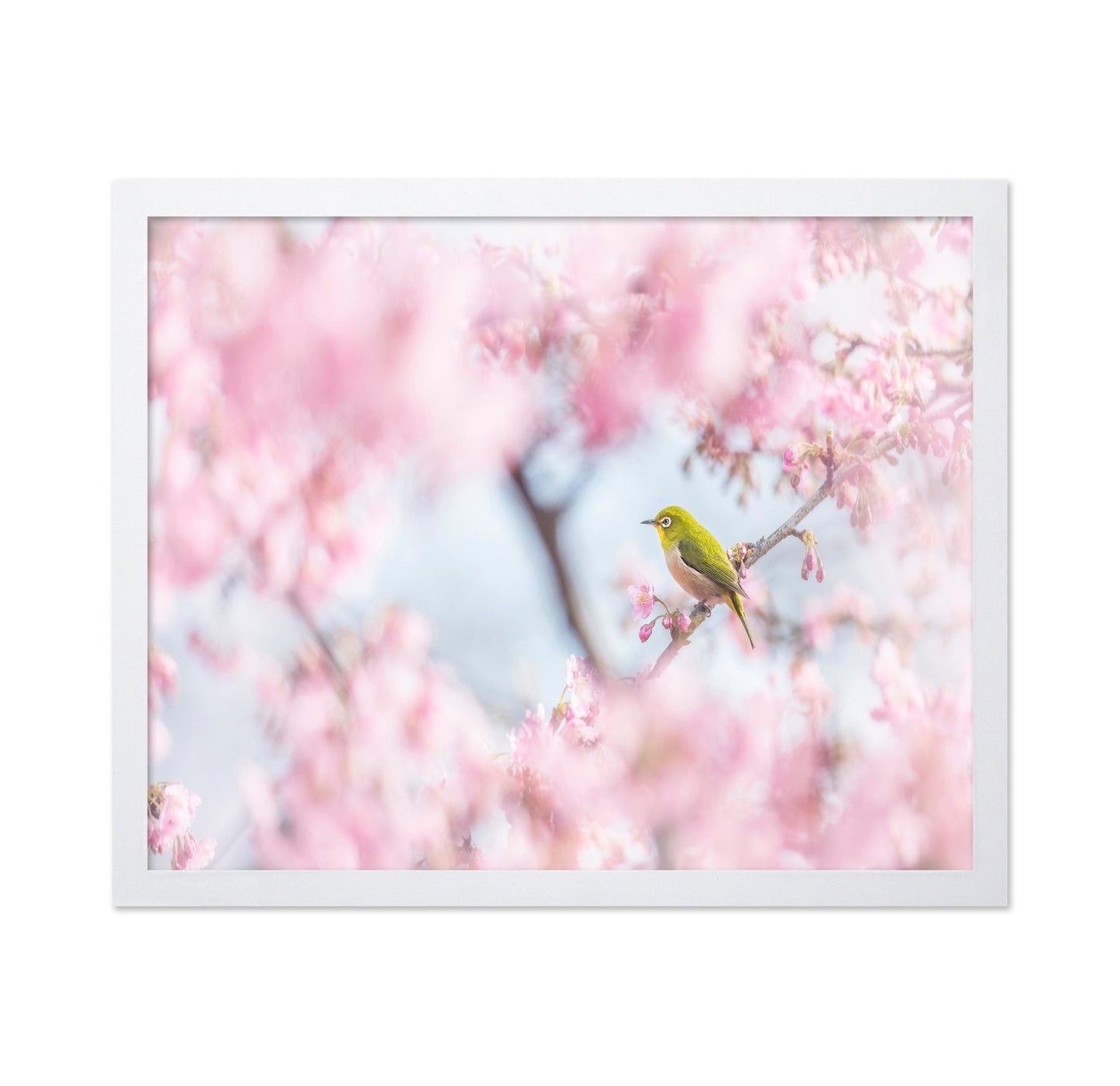 Spring Bird Blossom