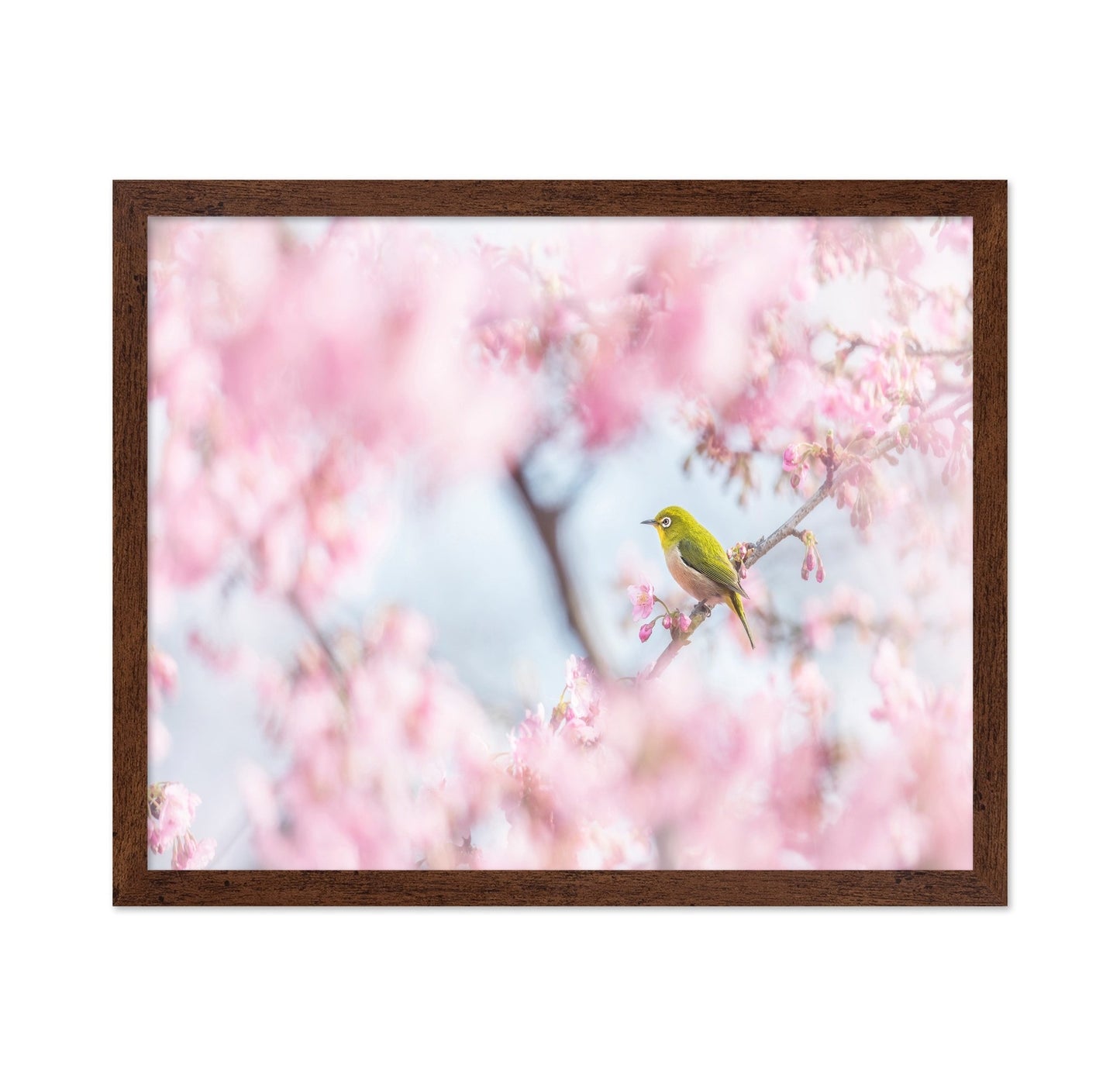 Spring Bird Blossom