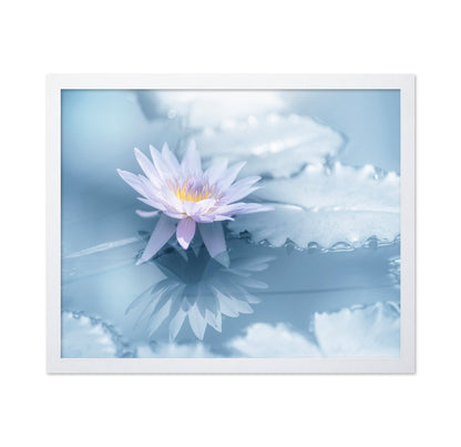 Soft Lily Reflection