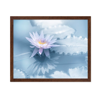 Soft Lily Reflection