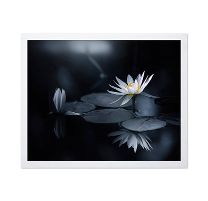 White Lily Reflection