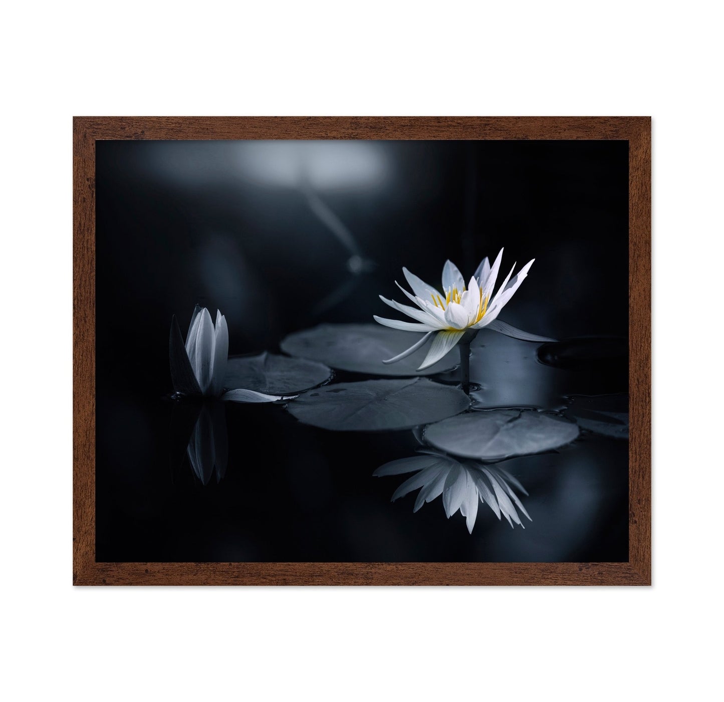 White Lily Reflection