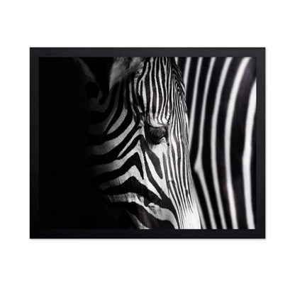 Zebra Close Detail