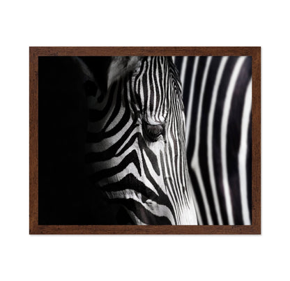 Zebra Close Detail