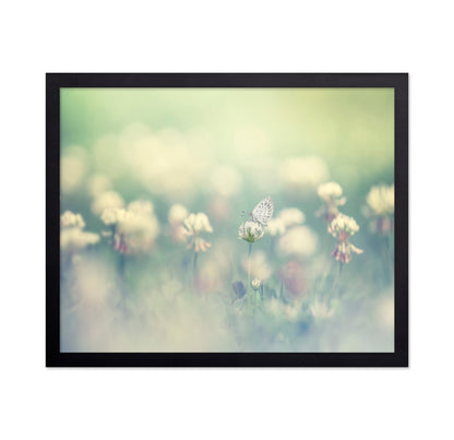 Soft Butterfly Bloom