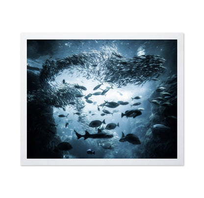 Ocean Fish Swirl