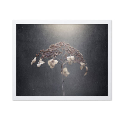 Faded Wildflower