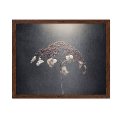Faded Wildflower