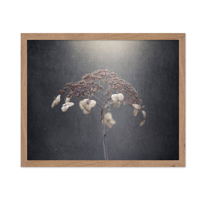 Faded Wildflower