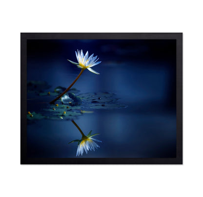 Blue Lotus Reflection